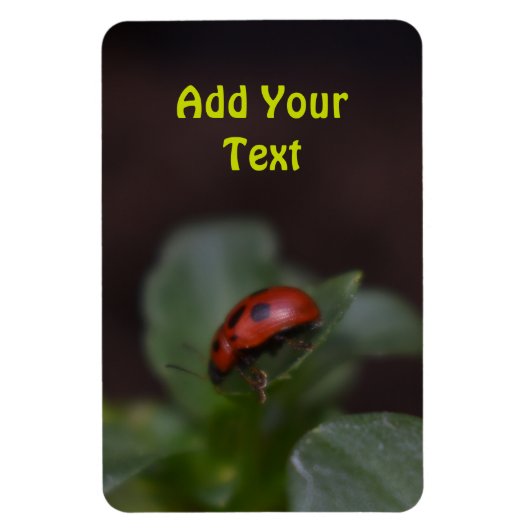Magnet Flexible Ladybug (Vertical)