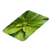 Magnet Flexible Ladybug (Côté Gauche)