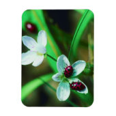 Magnet Flexible Ladybug (Vertical)