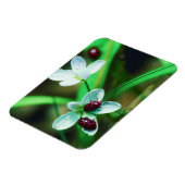 Magnet Flexible Ladybug (Côté Gauche)