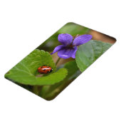 Magnet Flexible Ladybug sur les fleurs de violet doux (Côté Gauche)