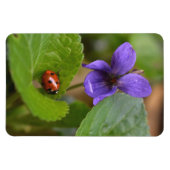 Magnet Flexible Ladybug sur les fleurs de violet doux (Horizontal)