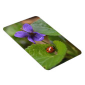 Magnet Flexible Ladybug sur les fleurs de violet doux (Côté Droit)