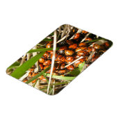 Magnet Flexible Ladybugs (Coccinellidae) (Côté Gauche)