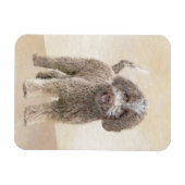 Magnet Flexible Lagotto Romagnolo Peinture - Cute Original Chien A (Horizontal)