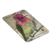 Magnet Flexible L'aimant des colibris (Côté Droit)