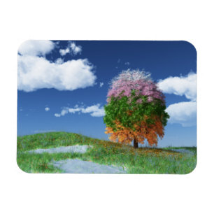 Magnet Flexible L'aimant flexible de l'arbre de saison