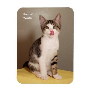 Magnet Flexible L'aimant humoristique ouvert du chat tigré de la