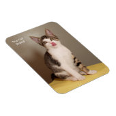 Magnet Flexible L'aimant Tabby Cat Can's Open Humour (Côté Droit)