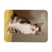Magnet Flexible L'aimant Tabby Cat Can's Open Humour (Horizontal)
