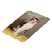 Magnet Flexible L'aimant Tabby Cat Can's Open Humour (Côté Gauche)