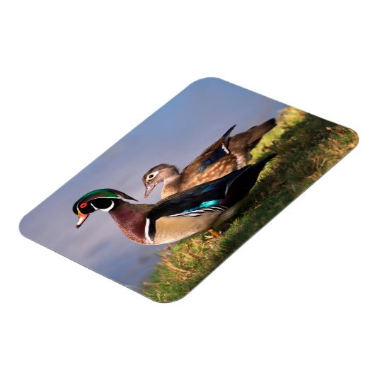 Magnet Flexible Lakeside (Côté Gauche)