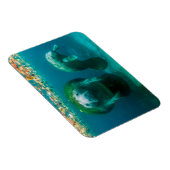 Magnet Flexible Lamantin mère avec son veau à Crystal River (Côté Droit)