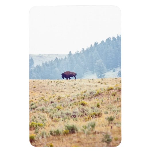 Magnet Flexible Lamar (Vertical)