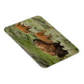Magnet Flexible Lamar Valley Mini Stampede (Côté Droit)