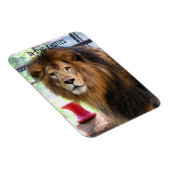 Magnet Flexible Lamber - (Côté Droit)