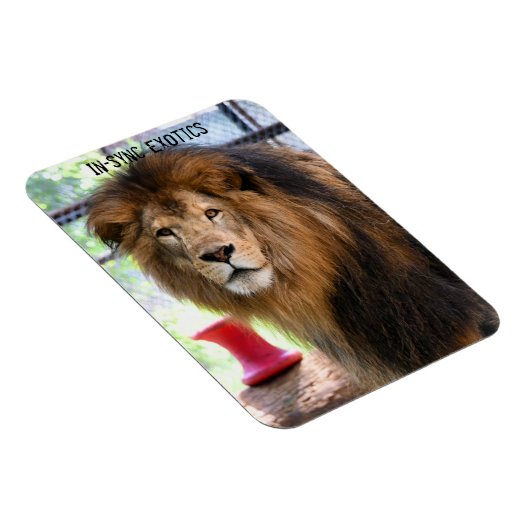 Magnet Flexible Lamber - (Côté Droit)