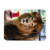 Magnet Flexible Lamber - (Horizontal)