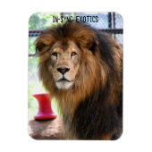 Magnet Flexible Lamber - (Vertical)