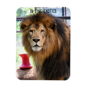 Magnet Flexible Lamber -