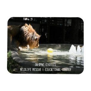 Magnet Flexible Lambert - Aimant photo flexible