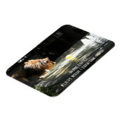 Magnet Flexible Lambert - Aimant photo flexible (Côté Gauche)