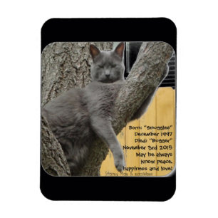 Magnet Flexible Lambinez le bébé 1997 2015
