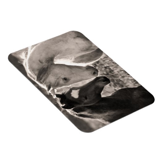 Magnet Flexible L'amour du cheval (Côté Droit)