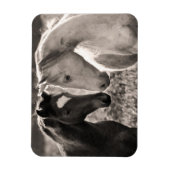 Magnet Flexible L'amour du cheval (Vertical)