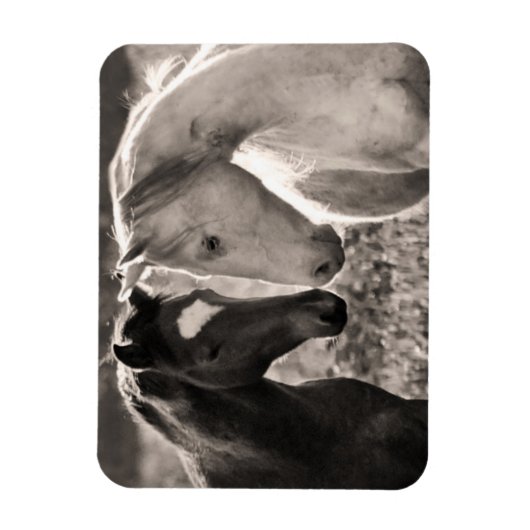 Magnet Flexible L'amour du cheval (Vertical)