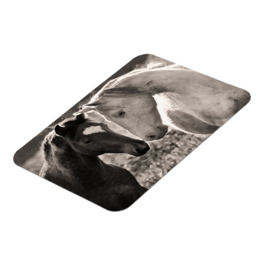 Magnet Flexible L'amour du cheval (Côté Gauche)