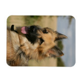 Magnet Flexible Langue de berger allemande (Horizontal)