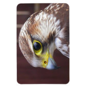 Magnet Flexible Lanner Falcon (Vertical)