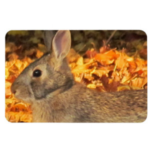 Magnet Flexible Lapin d'automne