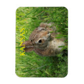 Magnet Flexible Lapin de Kansas Bunny (Vertical)
