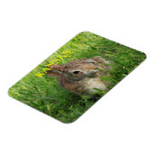 Magnet Flexible Lapin de Kansas Bunny (Côté Gauche)