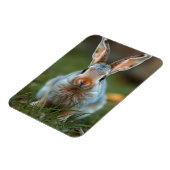Magnet Flexible Lapin russe bleu, (Côté Gauche)