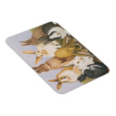 Magnet Flexible Lapins chanceux (Côté Droit)