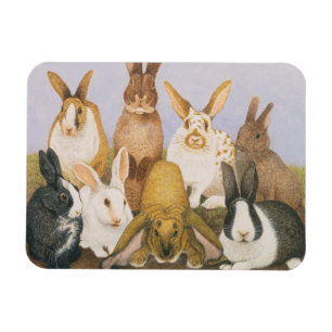 Magnet Flexible Lapins chanceux