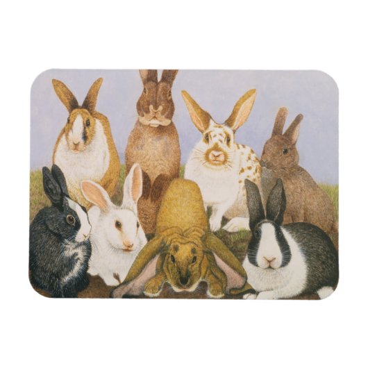 Magnet Flexible Lapins chanceux (Horizontal)