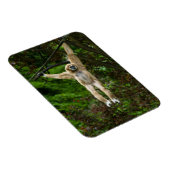 Magnet Flexible Lar Gibbon suspendu de l'arbre (Côté Droit)