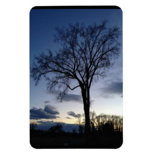 Magnet Flexible L'arbre à l'aimant à crépuscule