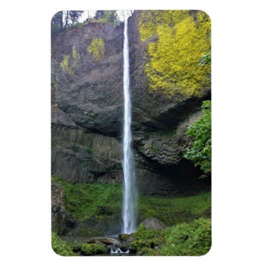Magnet Flexible Latourell Falls, Oregon (Vertical)
