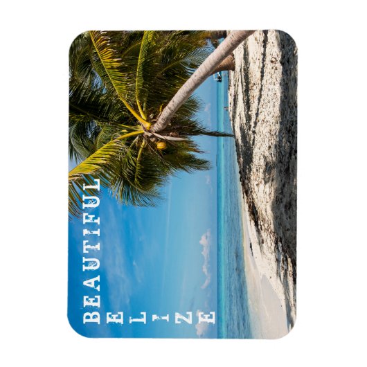 Magnet Flexible Laughing Bird (Vertical)