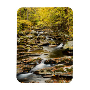 Magnet Flexible L'automne à Big Creek
