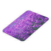 Magnet Flexible Lavande (Côté Gauche)