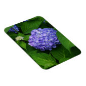 Magnet Flexible Lavande Hydrangea (Côté Droit)