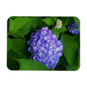Magnet Flexible Lavande Hydrangea (Horizontal)