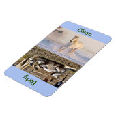 Magnet Flexible Lave-vaisselle photo pour chevaux propres et secs (Côté Gauche)