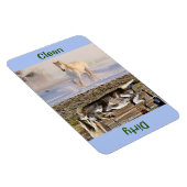 Magnet Flexible Lave-vaisselle photo pour chevaux propres et secs (Côté Droit)